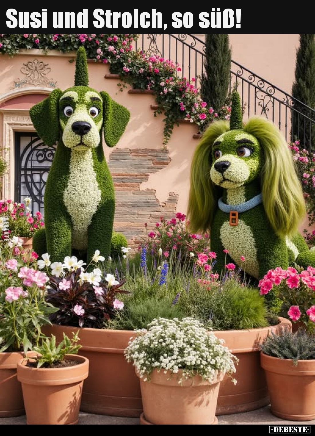 Susi und Strolch, so süß!