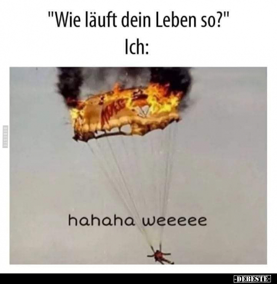 "Wie läuft dein Leben so?" Ich..