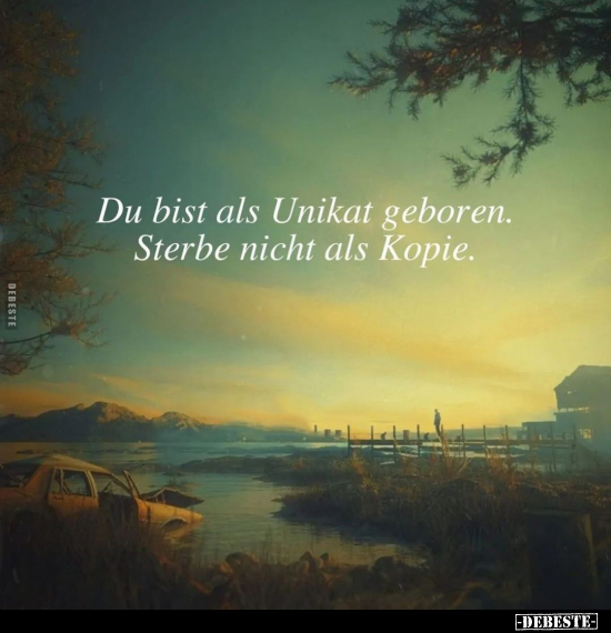 Du bist als Unikat geboren. Sterbe nicht als Kopie... - Lustige Bilder | DEBESTE.de