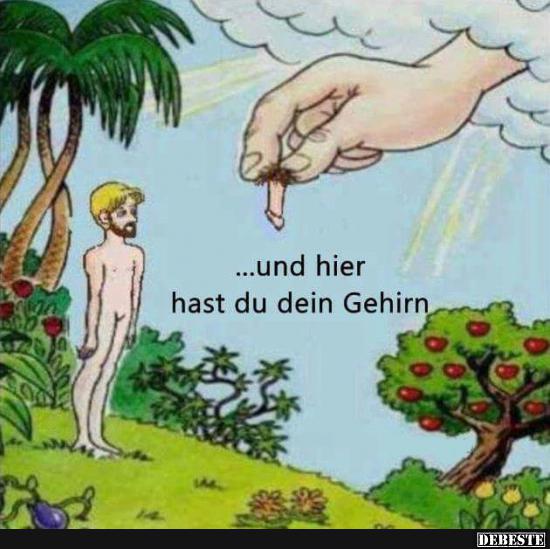 ...und hier hast du dein Gehirn..