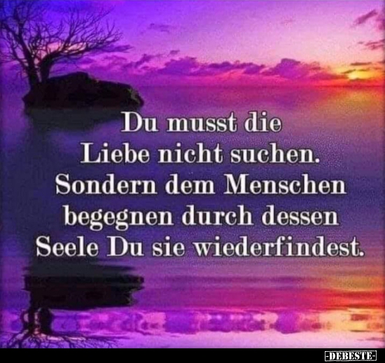 Du Musst Die Liebe Nicht Suchen Lustige Bilder Spruche Witze Echt Lustig