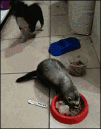 :) - Lustige Bilder | DEBESTE.de