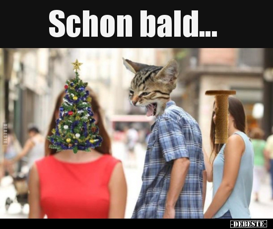 Schon bald..