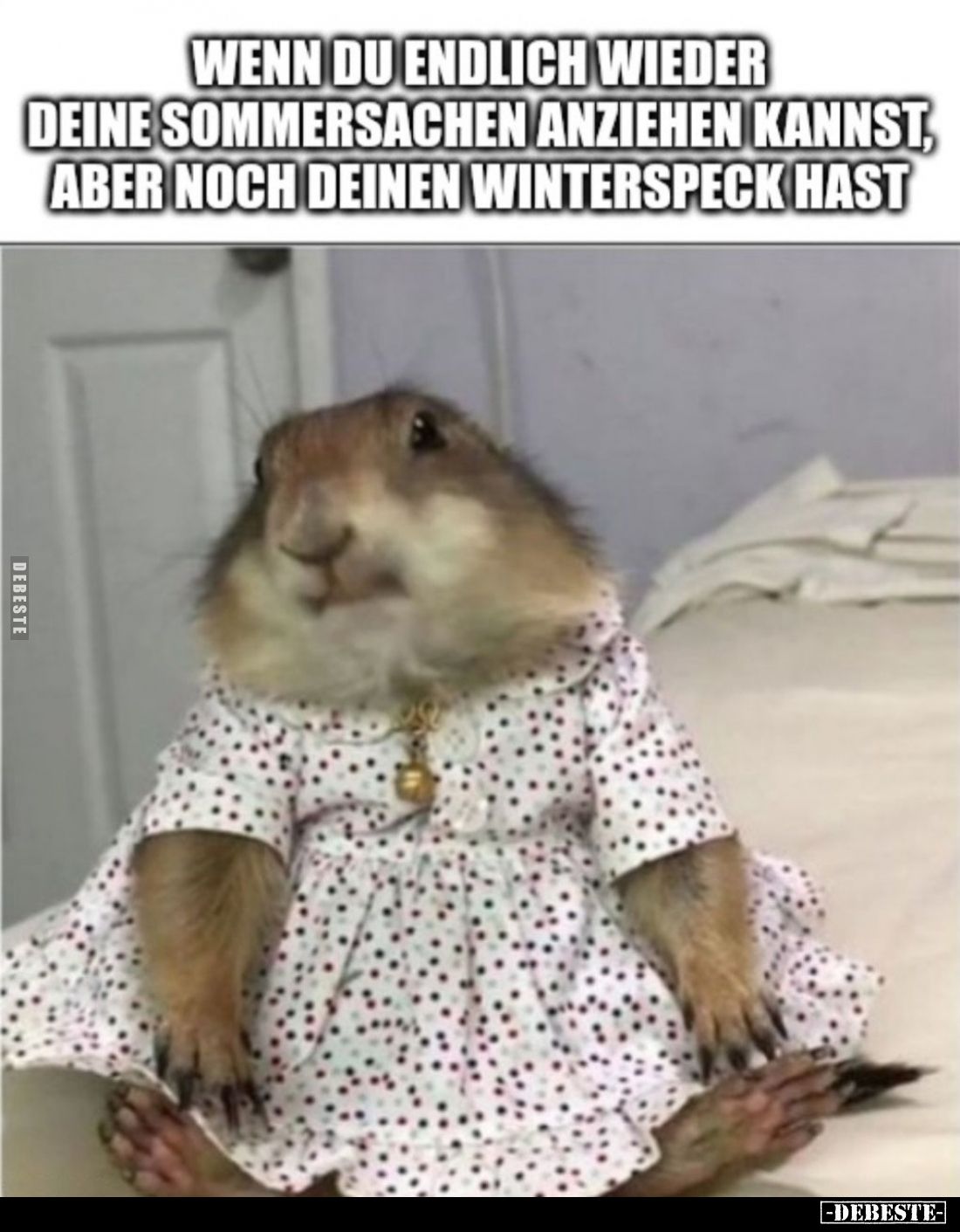 Wenn du endlich wieder deine Sommersachen anziehen kannst, aber noch deinen Winterspeck hast.