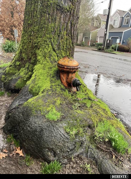  - Lustige Bilder | DEBESTE.de