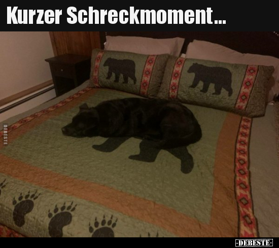 Kurzer Schreckmoment...