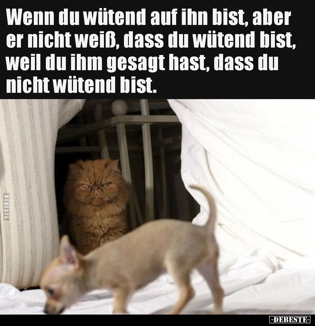 Wenn du wütend auf ihn bist, aber er nicht weiß, dass du wütend bist, weil du ihm gesagt hast, dass du nicht wütend bist.
