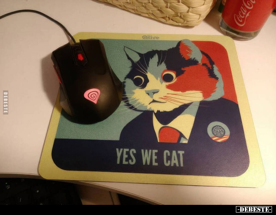 YES WE CAT