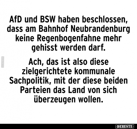 AfD und BSW haben beschlossen, dass.. - Lustige Bilder | DEBESTE.de