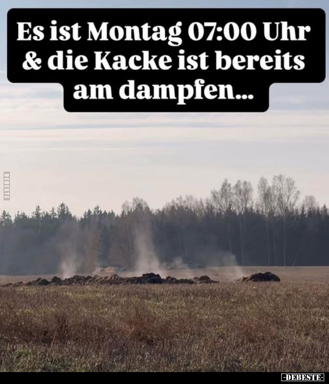 Es ist Montag 07:00 Uhr & die Kacke ist bereits am dampfen...
