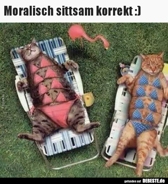 Moralisch sittsam korrekt :)