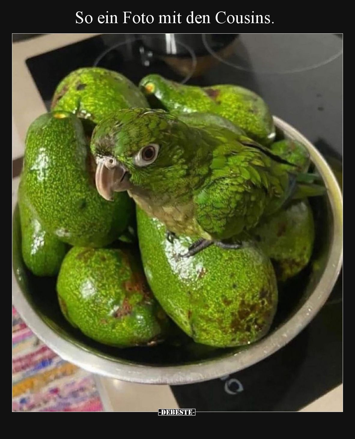So ein Foto mit den Cousins.