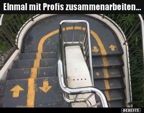 EInmal mit Profis zusammenarbeiten... - Lustige Bilder | DEBESTE.de