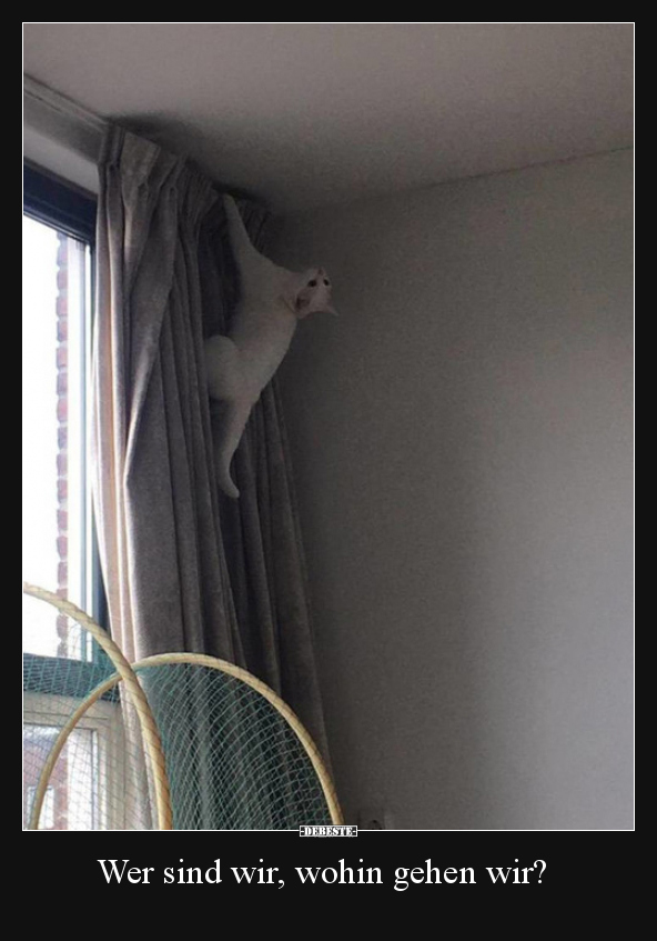 Wer sind wir, wohin gehen wir?..