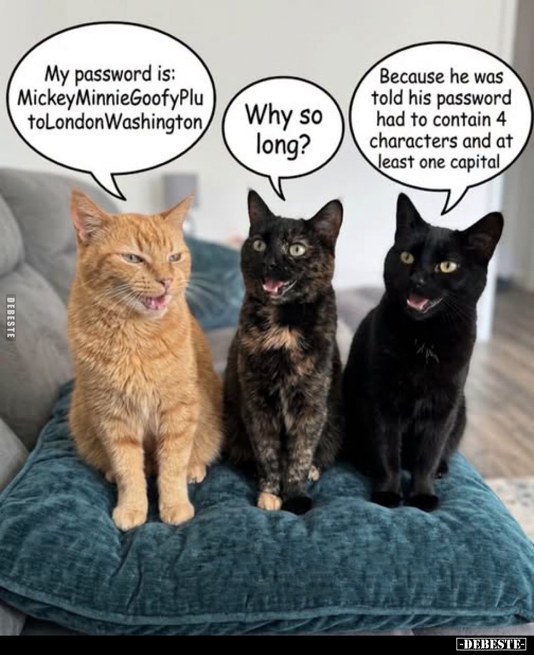 My password is: MickeyMinnieGoofyPlutoLondonWashington. -
Why so long? -
Because he was told his password had to contain 4 ...