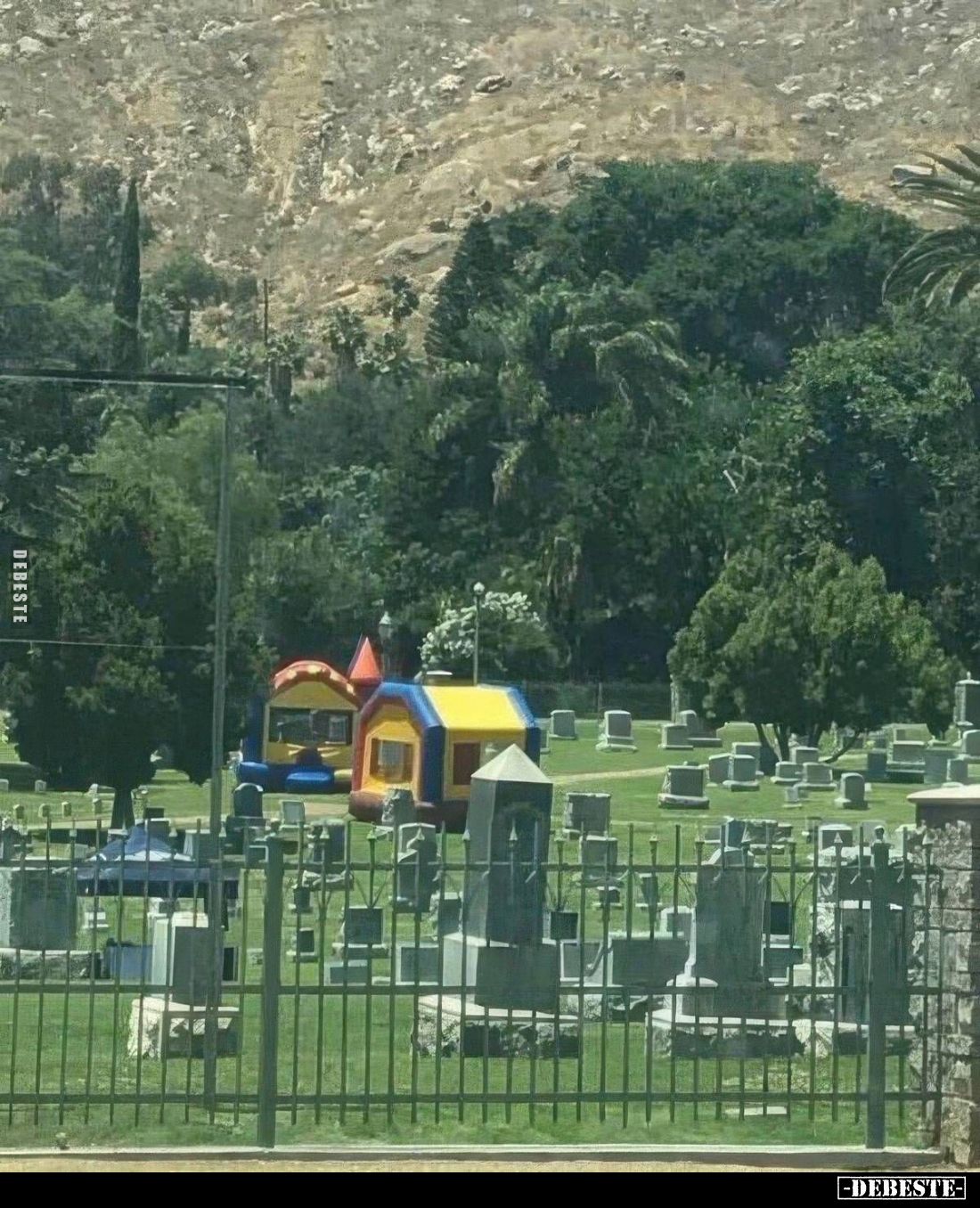  - Lustige Bilder | DEBESTE.de