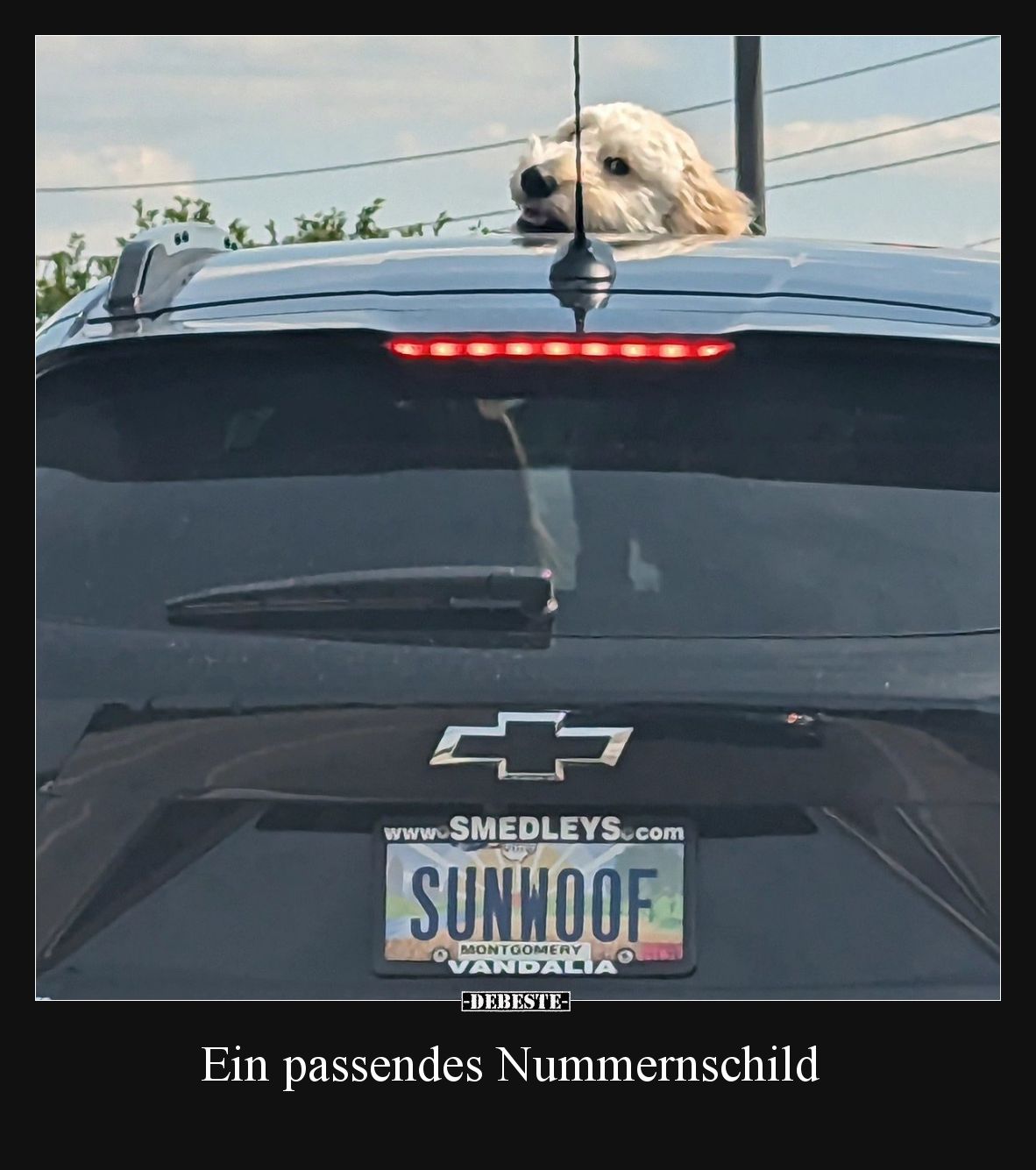Ein passendes Nummernschild