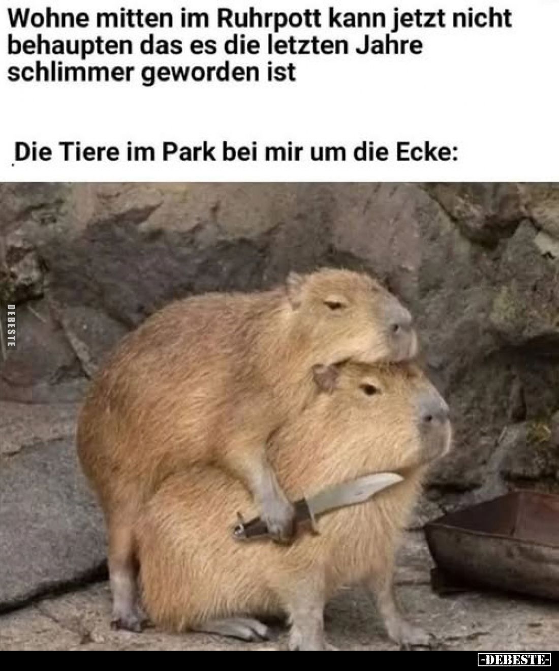 Wohne mitten im Ruhrpott kann jetzt nicht behaupten das es die letzten Jahre schlimmer geworden ist
Die Tiere im Park bei mi...