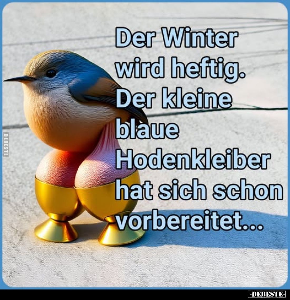 Der Winter wird heftig. Der kleine blaue Hodenkleiber hat sich schon vorbereitet...