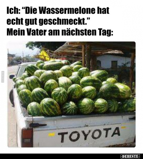 Ich: "Die Wassermelone hat echt gut geschmeckt.".. - Lustige Bilder | DEBESTE.de