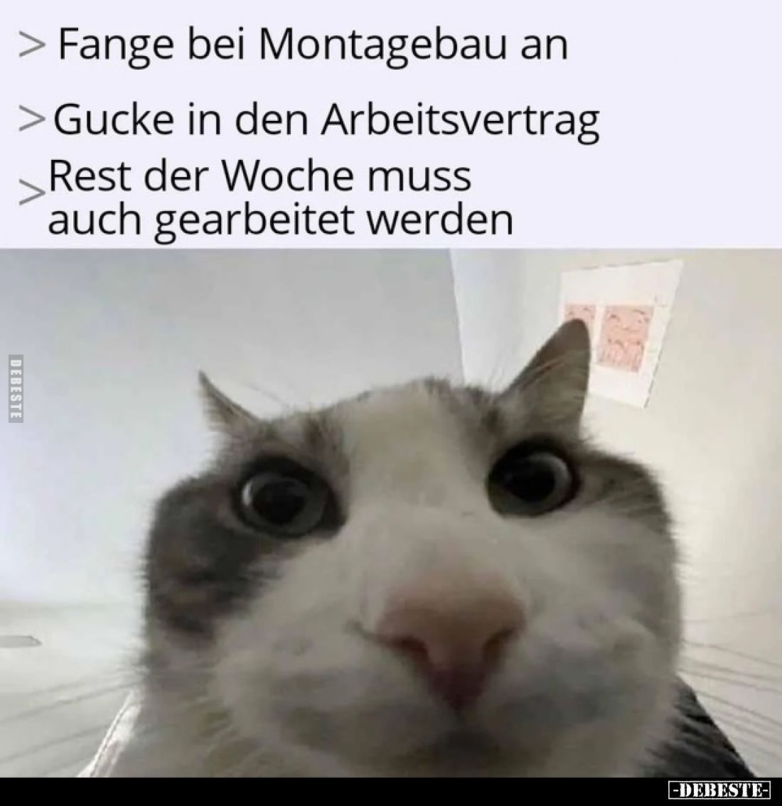 Fange bei Montagebau an - 
Gucke in den Arbeitsvertrag - 
Rest der Woche muss auch gearbeitet werden