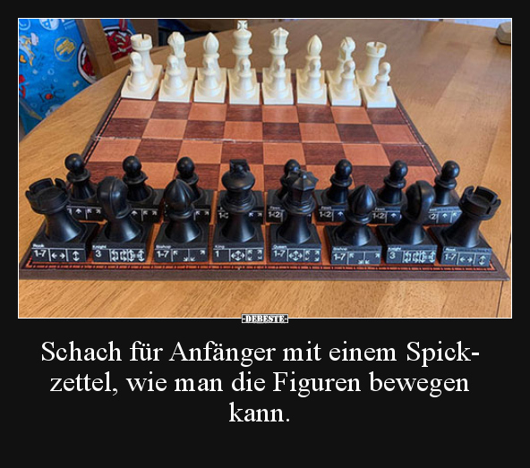 Schach für Anfänger mit einem Spickzettel, wie man die.. - Lustige Bilder | DEBESTE.de