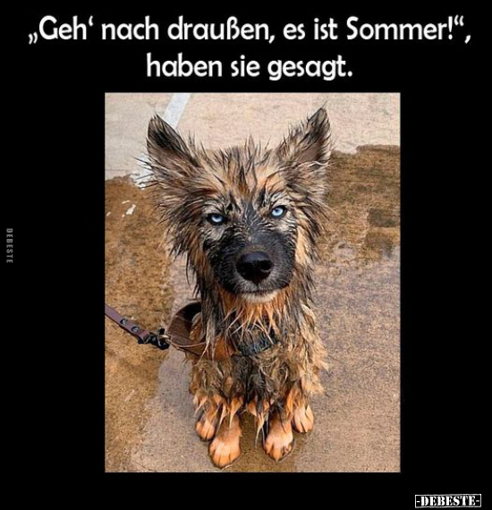 "Geh' nach draußen, es ist Sommer!", haben sie gesagt... - Lustige Bilder | DEBESTE.de
