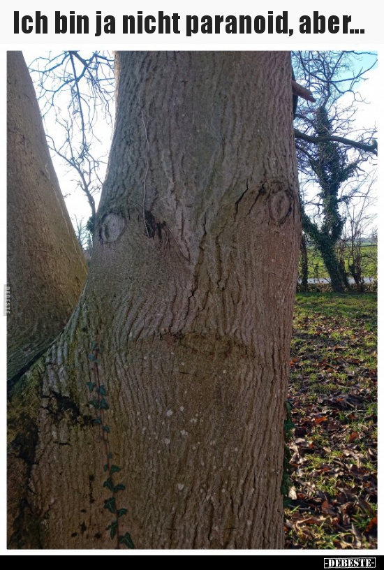 Ich bin ja nicht paranoid, aber...