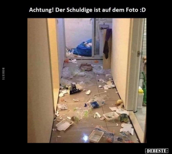 Achtung! Der Schuldige ist auf dem Foto :D.. - Lustige Bilder | DEBESTE.de