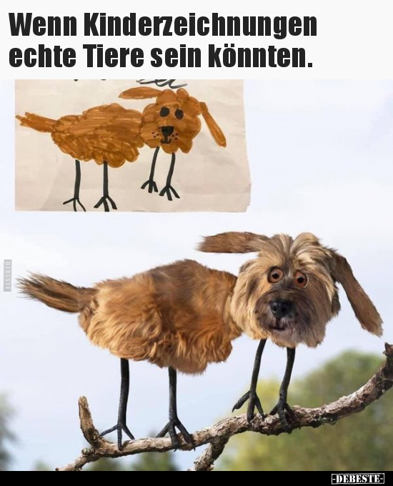 Wenn Kinderzeichnungen echte Tiere sein könnten... - Lustige Bilder | DEBESTE.de