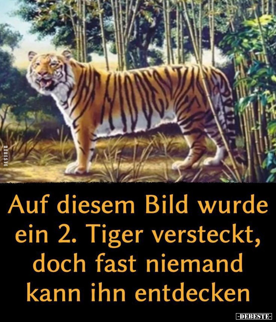 Auf diesem Bild wurde ein 2. Tiger versteckt... - Lustige Bilder | DEBESTE.de