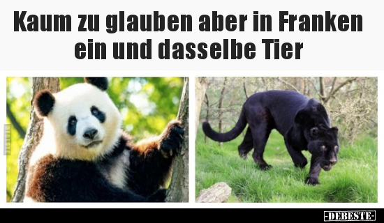 Kaum zu glauben aber in Franken ein und dasselbe Tier.. - Lustige Bilder | DEBESTE.de