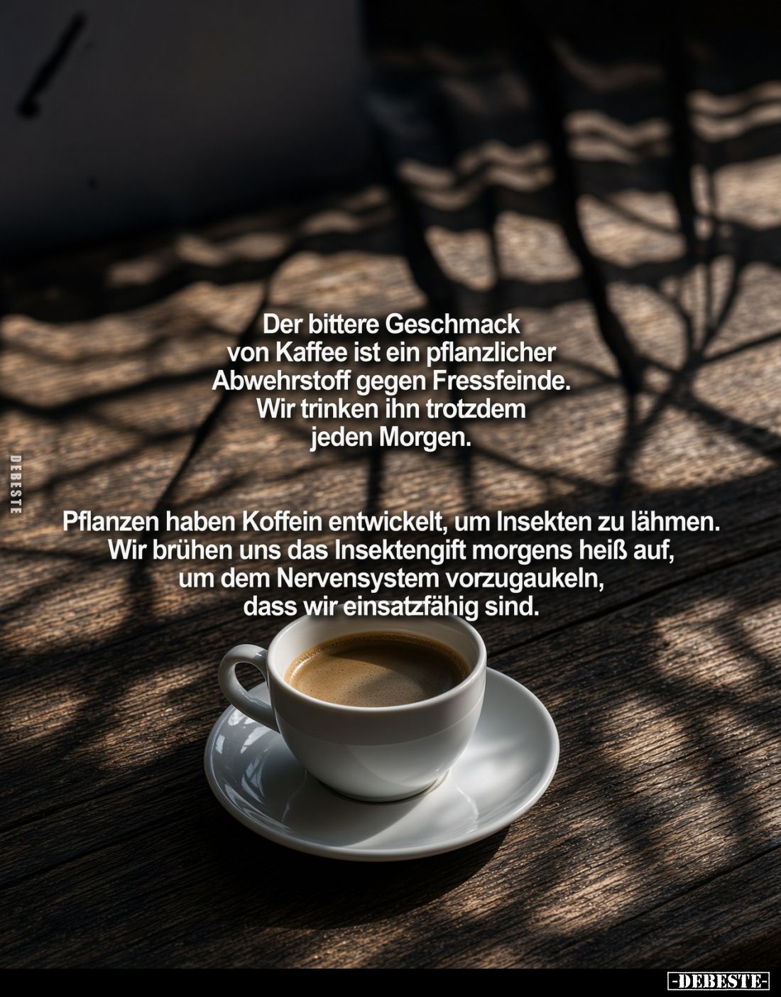 Der bittere Geschmack von Kaffee ist ein pflanzlicher Abwehrstoff gegen Fressfeinde.
Wir trinken ihn trotzdem jeden Morgen.
...