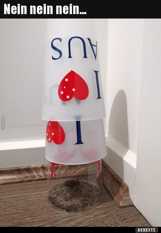 Nein nein nein...
