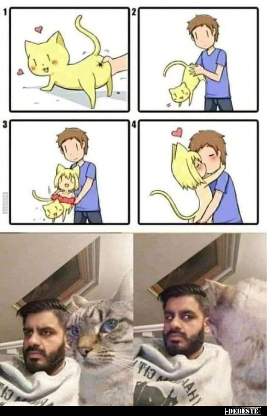  - Lustige Bilder | DEBESTE.de