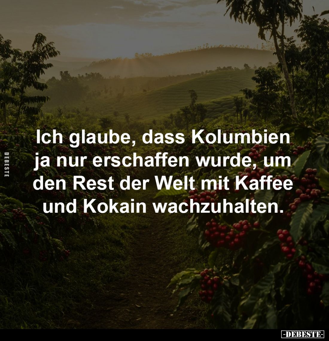Ich glaube, dass Kolumbien 
ja nur erschaffen wurde, um 
den Rest der Welt mit Kaffee 
und Kokain wachzuhalten.