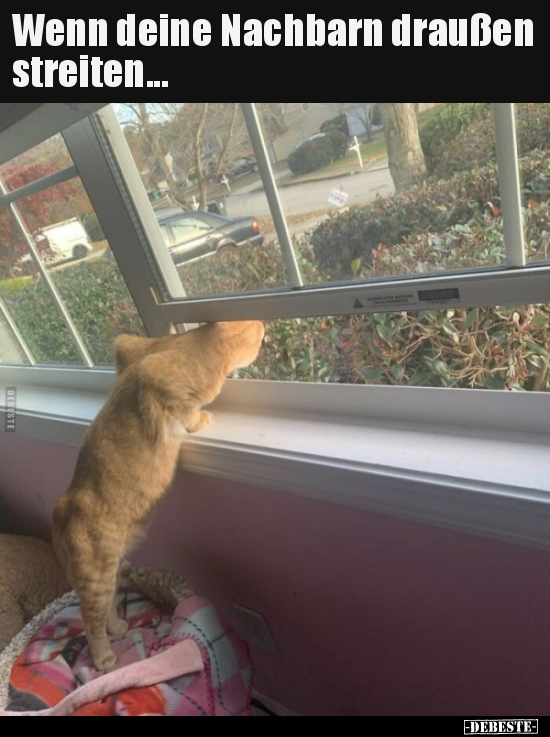 Wenn deine Nachbarn draußen streiten...