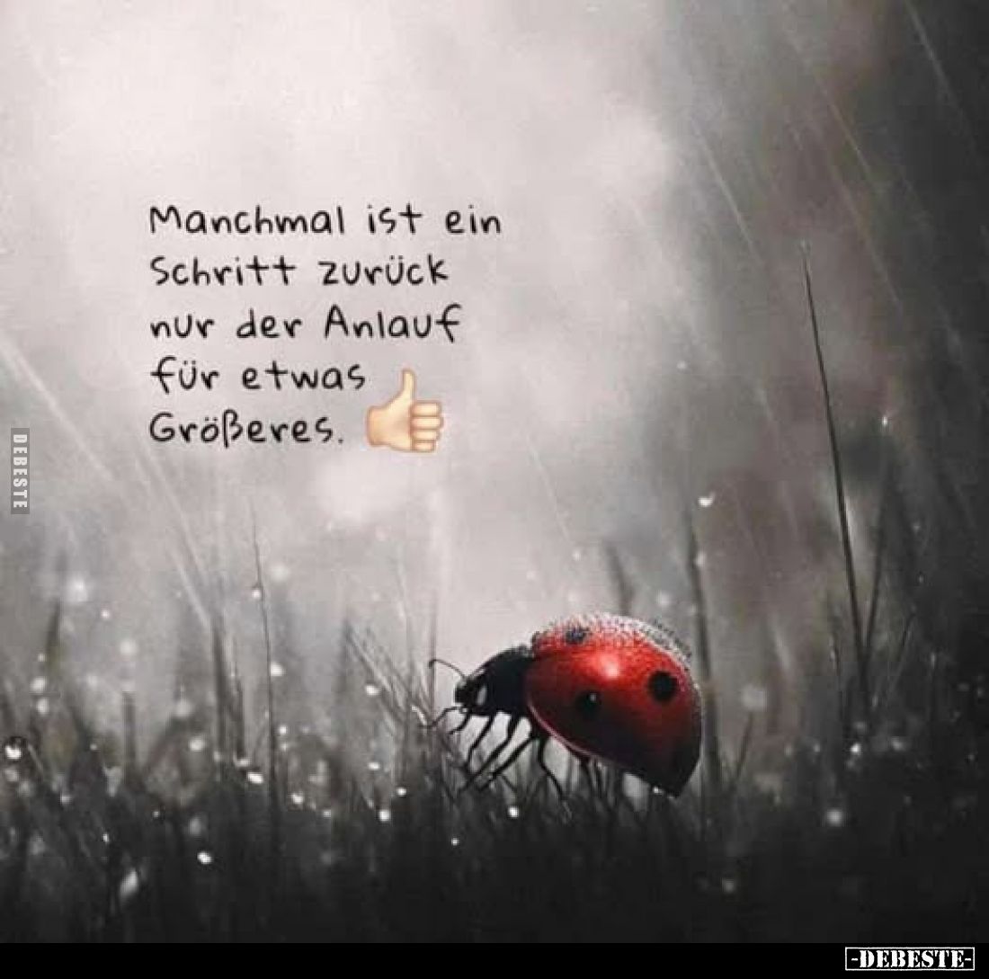 Manchmal ist ein Schritt zurück nur der Anlauf für etwas Größeres.