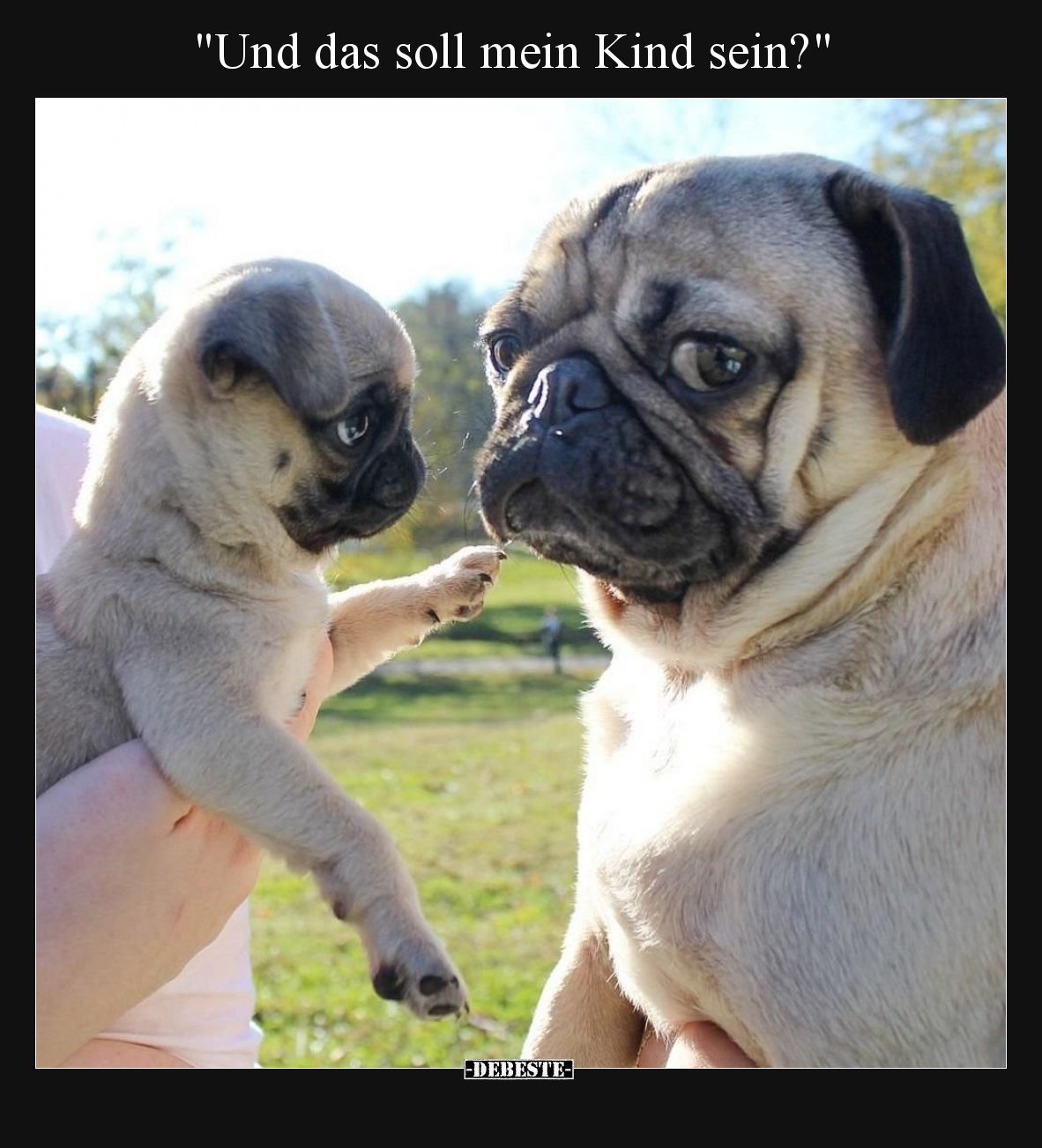 Und das soll mein Kind sein?