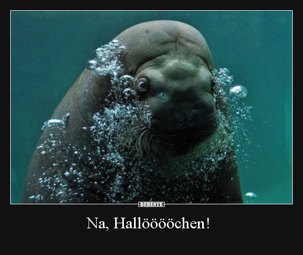 Na, Hallööööchen!..