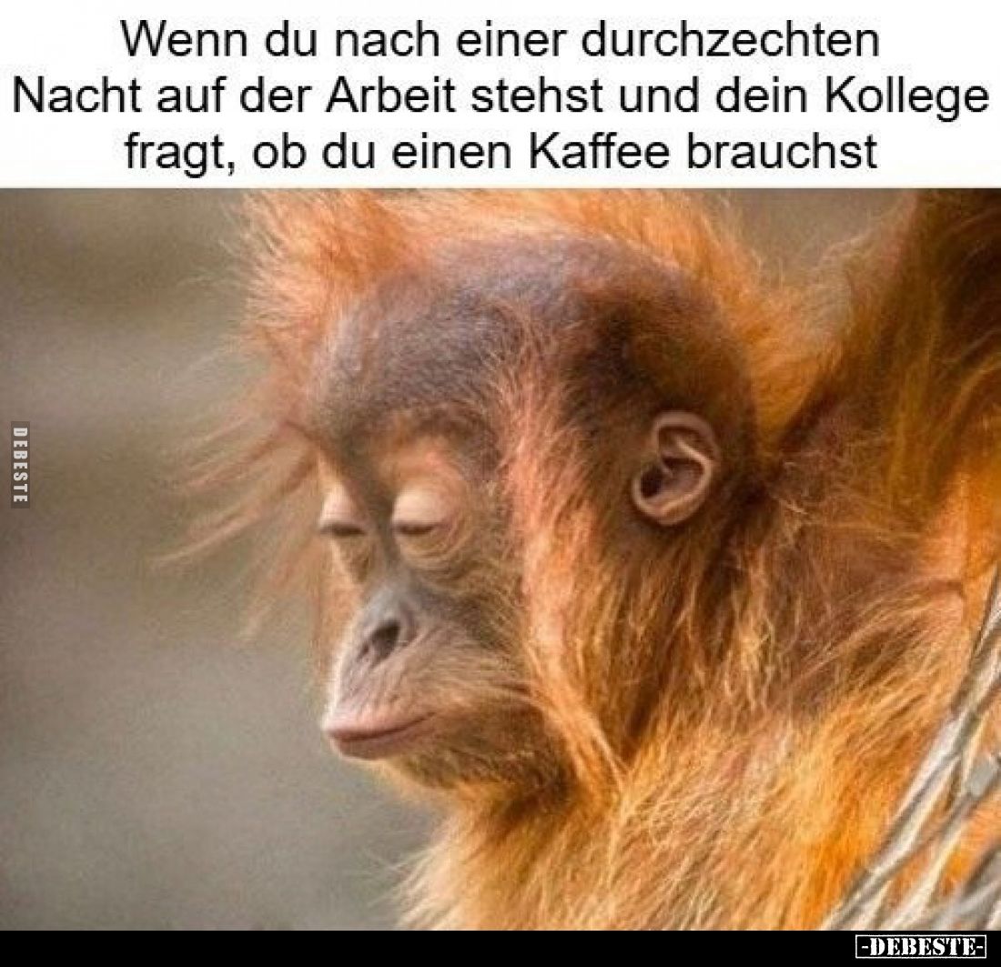 Wenn du nach einer durchzechten Nacht auf der Arbeit stehst und dein Kollege fragt, ob du einen Kaffee brauchst