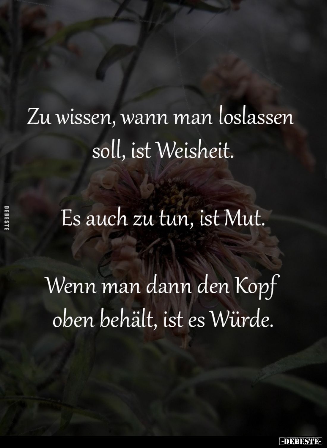 Zu wissen, wann man loslassen 
soll, ist Weisheit.

Es auch zu tun, ist Mut.

Wenn man dann den Kopf 
oben behält, ist ...