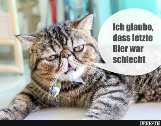 Ich glaube das letzte Bier war schlecht..