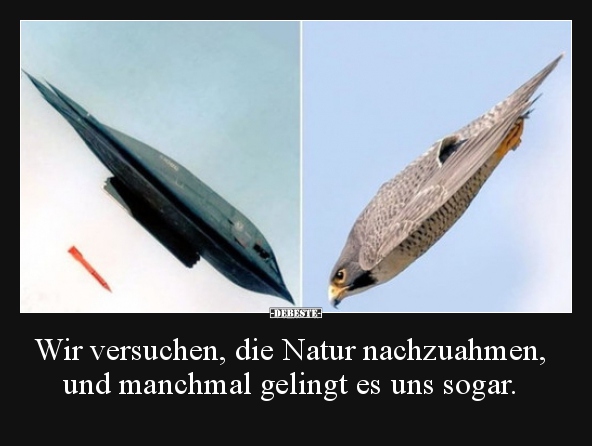 Wir versuchen, die Natur nachzuahmen, und manchmal gelingt..