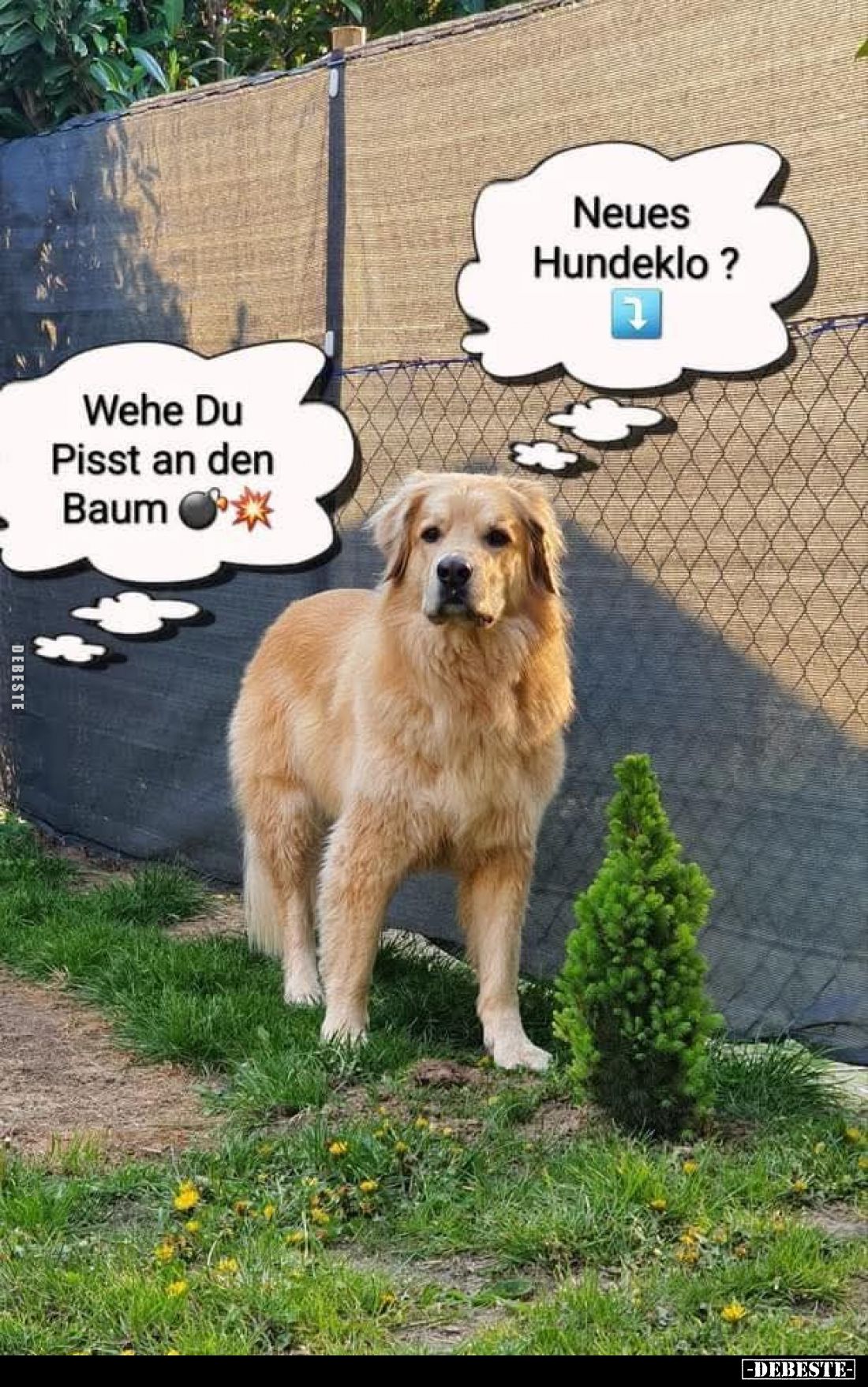 Wehe Du Pisst an den Baum. - Neues Hundeklo?