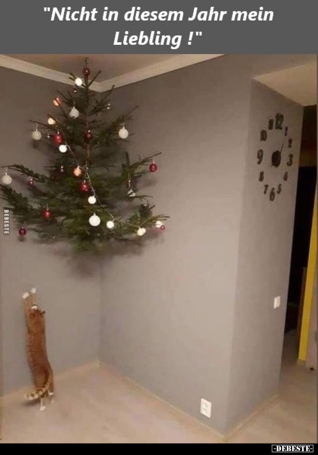 Nicht in diesem Jahr mein Liebling!