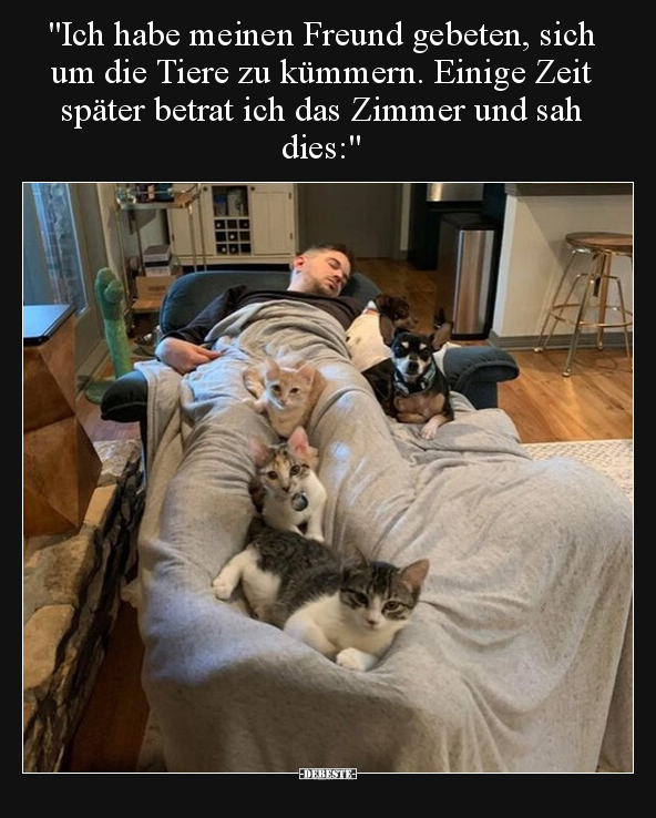 "Ich habe meinen Freund gebeten, sich um die Tiere zu.." - Lustige Bilder | DEBESTE.de