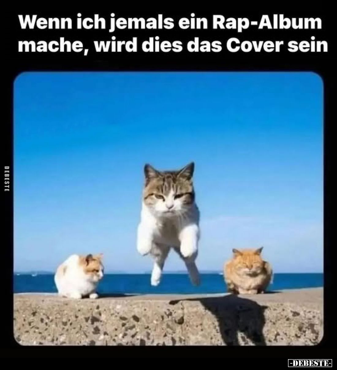 Wenn ich jemals ein Rap-Album mache, wird dies das Cover sein
