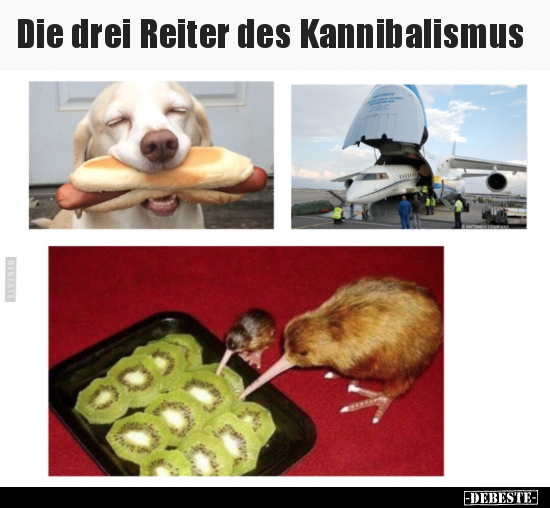 Die drei Reiter des Kannibalismus.. - Lustige Bilder | DEBESTE.de