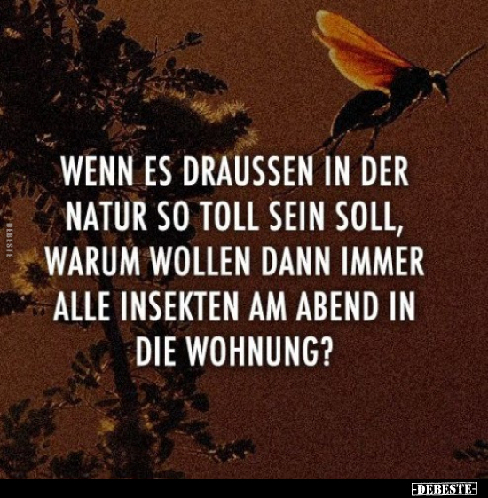Wenn es draussen in der Natur so toll sein soll.. - Lustige Bilder | DEBESTE.de